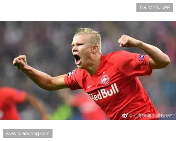 尊龙z6.com官网app常见问题解答，解决用户在使用过程中遇到的各种困扰